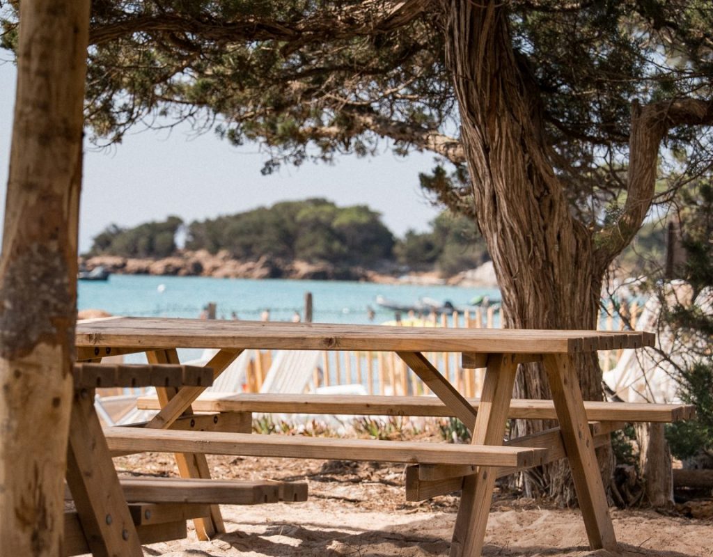 08082025 DSC02195 2.jpg